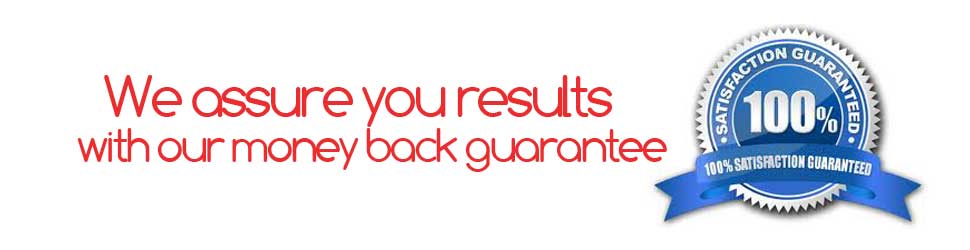 Money back SEO