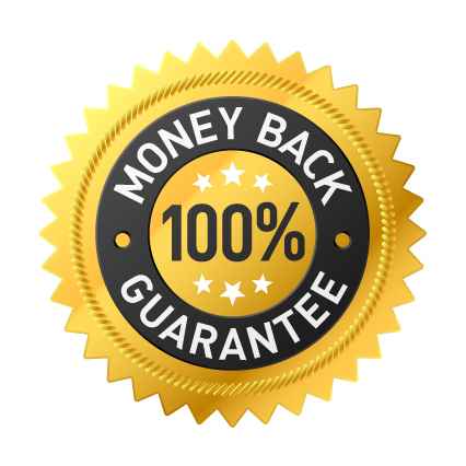 seo money back