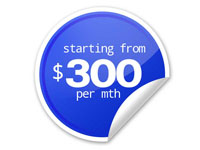 seostandard $300